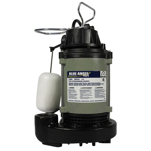 Blue Angel Pump Wayne Blue Angel 1/3 HP 4620 gph Cast Iron Vertical Float Switch AC Submersible Sump Pump F33CISDS - main